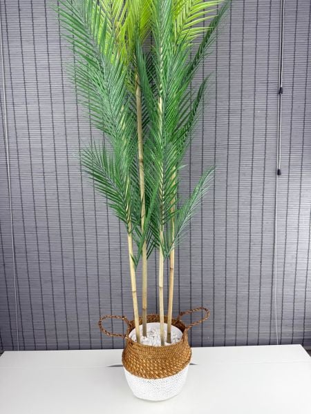 Bahçem Dekoratif Yapay Yapraklı Natural-Beyaz Hasır Bambu Sepetli Areka Palmiye Ağacı 4 Gövde 150cm