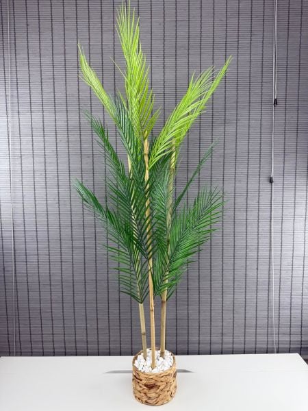 Bahçem Dekoratif Hasır Su Sümbülü Saksılı Areka Palmiye Ağacı 3 Gövde 120cm