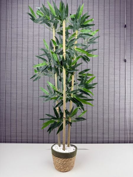 Bahçem Yoğun Yapraklı Dekoratif Bambu Ağacı Hasır Sea Grass/Yeşil Koton Saksılı 3 Gövde 100cm