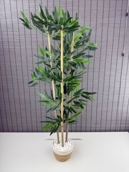 Bahçem Yoğun Yapraklı Dekoratif Bambu Ağacı Hasır Sea Grass/Beyaz Koton Saksılı 3 Gövde 100cm