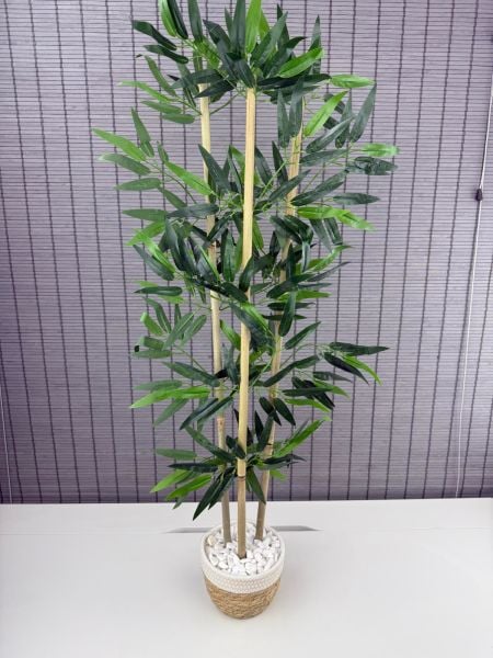 Bahçem Yoğun Yapraklı Dekoratif Bambu Ağacı Hasır Sea Grass/Beyaz Koton Saksılı 3 Gövde 100cm