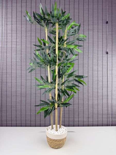Bahçem Yoğun Yapraklı Dekoratif Bambu Ağacı Hasır Sea Grass/Beyaz Koton Saksılı 3 Gövde 100cm