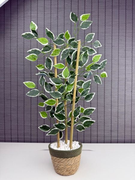 Bahçem Yoğun Yapraklı Dekoratif Benjamin Ağacı Hasır Sea Grass/Yeşil Koton Saksılı 3 Gövde 70cm