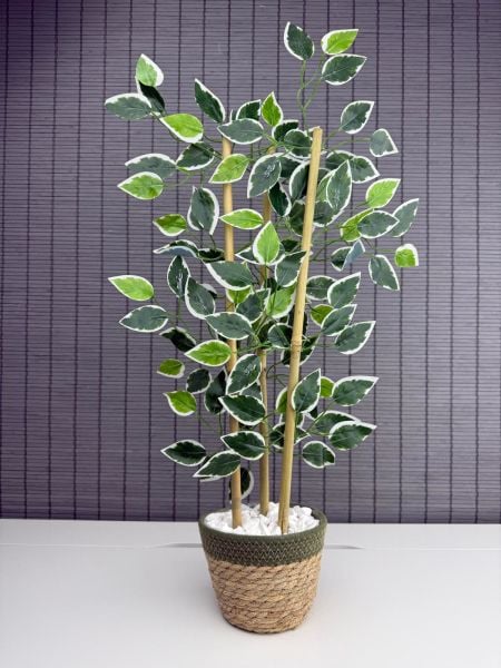 Bahçem Yoğun Yapraklı Dekoratif Benjamin Ağacı Hasır Sea Grass/Yeşil Koton Saksılı 3 Gövde 70cm