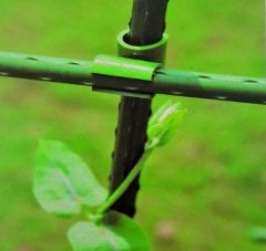 STC-11 - Bitki Çapraz Çubuk Bağlama Konnektörü