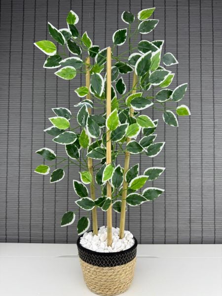 Bahçem Yoğun Yapraklı Dekoratif Benjamin Ağacı Hasır Sea Grass/Koton Saksılı 3 Gövde 70cm