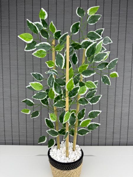 Bahçem Yoğun Yapraklı Dekoratif Benjamin Ağacı Hasır Sea Grass/Koton Saksılı 3 Gövde 70cm