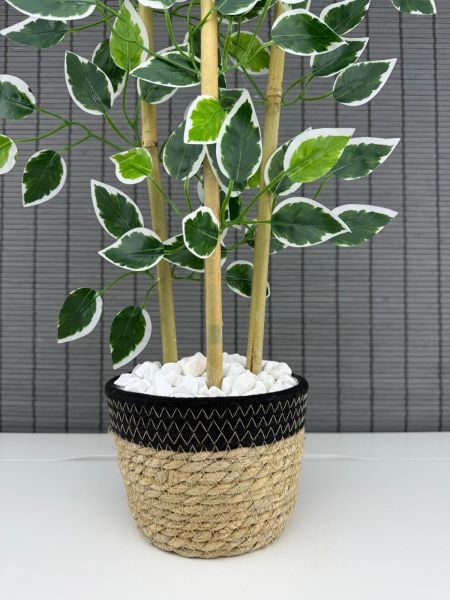 Bahçem Yoğun Yapraklı Dekoratif Benjamin Ağacı Hasır Sea Grass/Koton Saksılı 3 Gövde 70cm