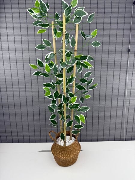 Bahçem Dekoratif Yapay Yapraklı Natural Hasır Bambu Sepetli Dekoratif Benjamin Ağacı 100cm 3 Gövde