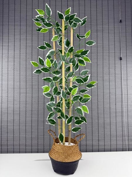 Bahçem Dekoratif Yapay Yapraklı Natural-siyah Hasır Bambu Sepetli Dekoratif Benjamin Ağacı 100cm 3 Gövde