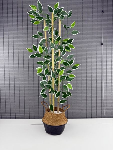 Bahçem Dekoratif Yapay Yapraklı Natural-siyah Hasır Bambu Sepetli Dekoratif Benjamin Ağacı 100cm 3 Gövde