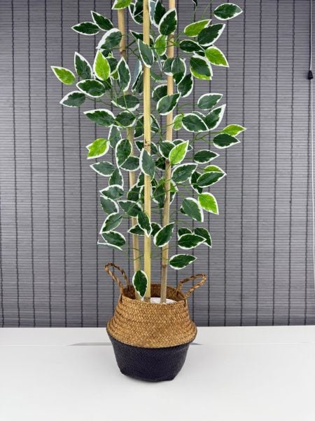 Bahçem Dekoratif Yapay Yapraklı Natural-siyah Hasır Bambu Sepetli Dekoratif Benjamin Ağacı 100cm 3 Gövde