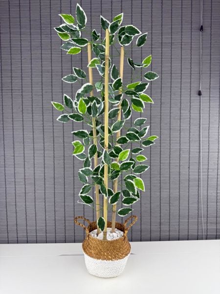Bahçem Dekoratif Yapay Yapraklı Natural-Beyaz Hasır Bambu Sepetli Dekoratif Benjamin Ağacı 100cm 3 Gövde