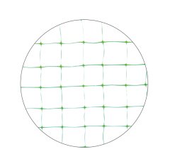 PE2222G21 - Yeşil 2X10Mt - 22X22Mm Pvc Kuş Teli