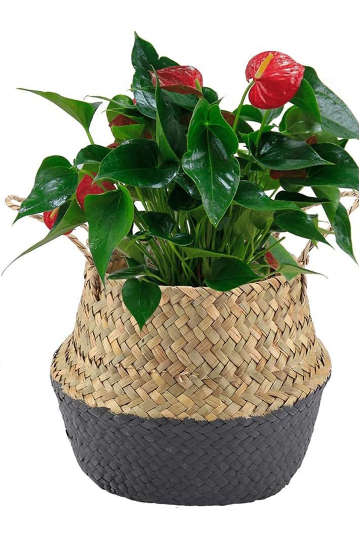 Bahçem Katlanabilir Hasır Sepet Saksılık Natural-Antrasit 28x30cm