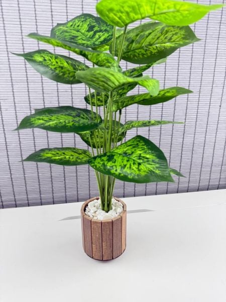 Bahçem Yapay Çiçek Difenbahya 18 Yapraklı 65 Cm Salon Çiçeği Ahşap Saksılı Yapay Bitki