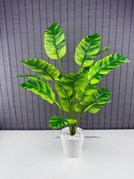 Bahçem Yapay Yapraklı Starliçe Muz Desenli Çizgili Yaprak Beyaz Saksılı 65cm 18 Yaprak