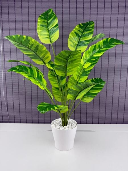 Bahçem Yapay Yapraklı Starliçe Muz Desenli Çizgili Yaprak Beyaz Saksılı 65cm 18 Yaprak