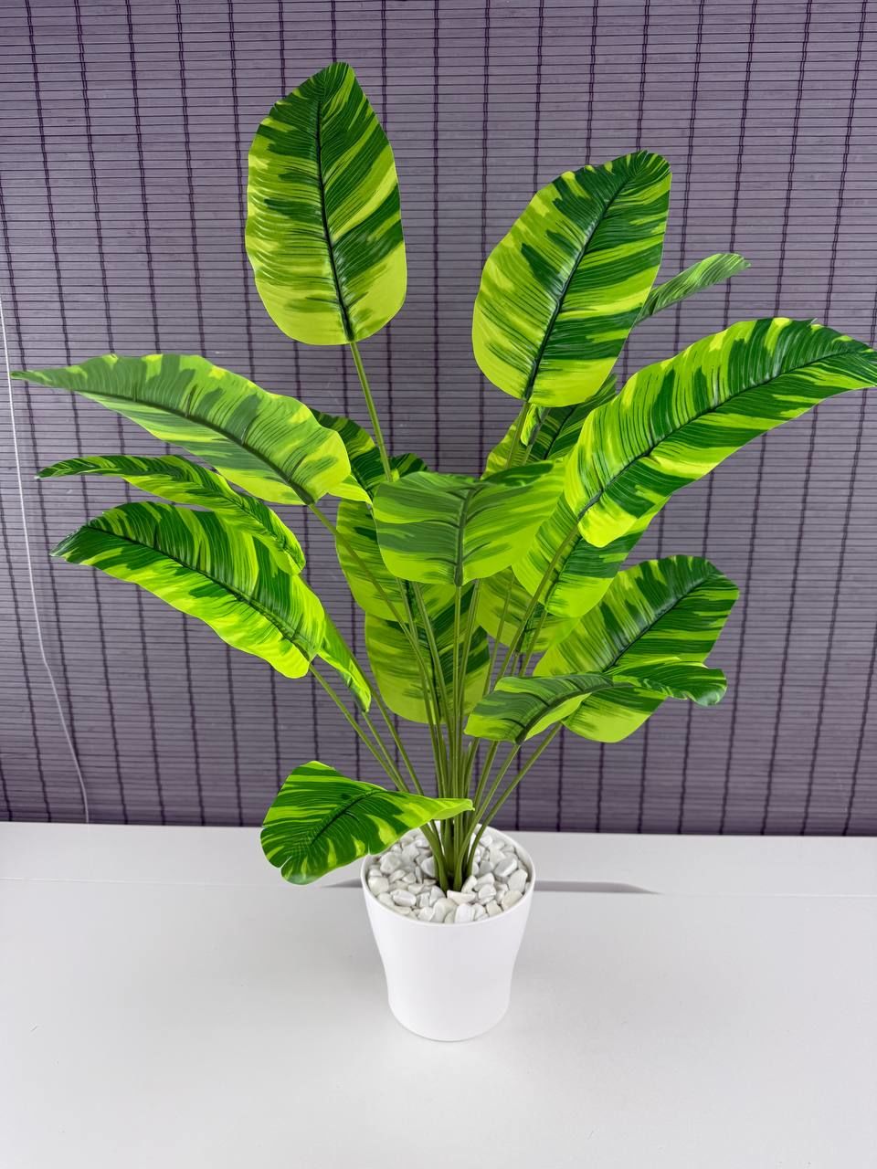 Bahçem Yapay Yapraklı Starliçe Muz Desenli Çizgili Yaprak Beyaz Saksılı 65cm 18 Yaprak