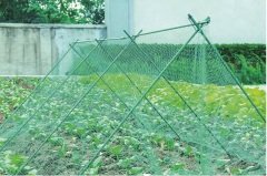 CRP-2412 - Pwc Modüler Kafes