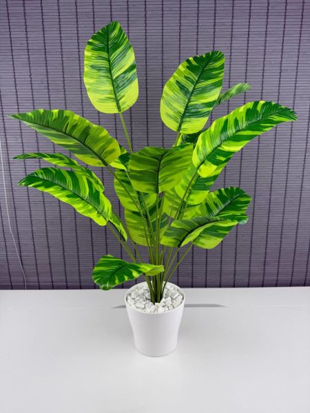 Bahçem Yapay Yapraklı Starliçe Muz Desenli Çizgili Yaprak Beyaz Saksılı 65cm 18 Yaprak