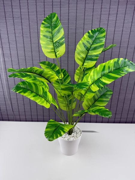 Bahçem Yapay Yapraklı Starliçe Muz Desenli Çizgili Yaprak Beyaz Saksılı 65cm 18 Yaprak