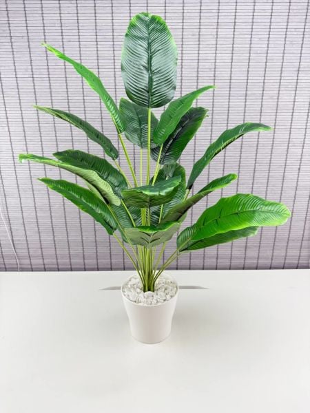 Bahçem Yapay Çiçek Starliçe Salon Çiçeği Beyaz Saksılı Yapay Bitki 18 Yapraklı 65 Cm