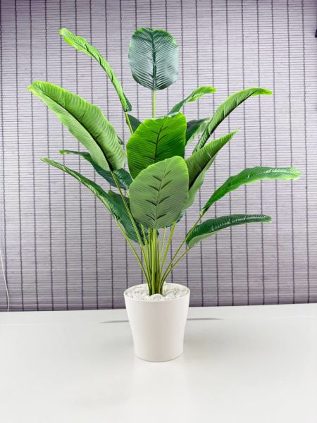 Bahçem Yapay Çiçek Starliçe Salon Çiçeği Beyaz Saksılı Yapay Bitki 18 Yapraklı 65 Cm