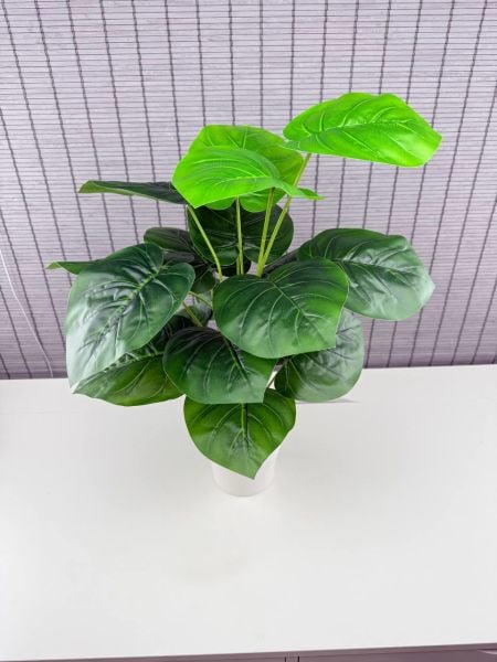 Bahçem Yapay Çiçek Deve Tabanı 18 Yapraklı 65 Cm Salon Çiçeği Beyaz Saksılı Yapay Bitki