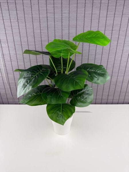 Bahçem Yapay Çiçek Deve Tabanı 18 Yapraklı 65 Cm Salon Çiçeği Beyaz Saksılı Yapay Bitki