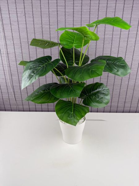 Bahçem Yapay Çiçek Deve Tabanı 18 Yapraklı 65 Cm Salon Çiçeği Beyaz Saksılı Yapay Bitki