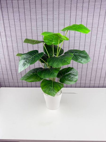 Bahçem Yapay Çiçek Deve Tabanı 18 Yapraklı 65 Cm Salon Çiçeği Beyaz Saksılı Yapay Bitki