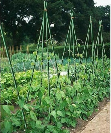 CSN-8-75  10 'lu  Pwc Bitki Destek Çubuğu 8Mm 75Cm