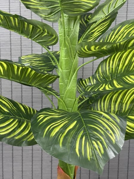 Bahçem Yapay Yapraklı Dua Çiçeği Tropik Sarı Şeritli Salon Bitkisi Konik Ahşap Saksılı 21 Yapraklı 150cm