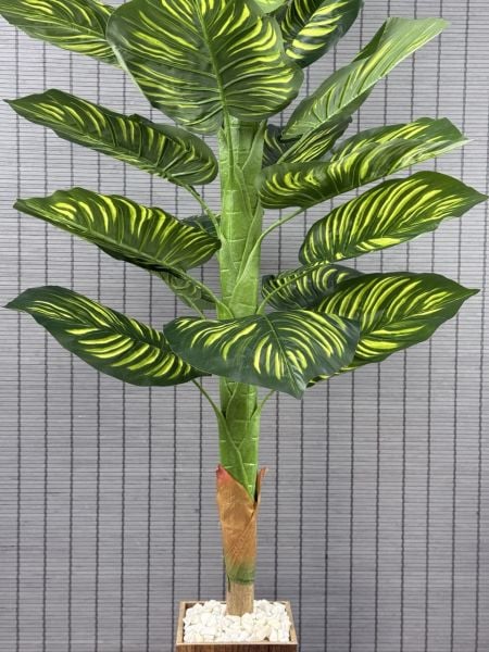 Bahçem Yapay Yapraklı Dua Çiçeği Tropik Sarı Şeritli Salon Bitkisi Konik Ahşap Saksılı 21 Yapraklı 150cm