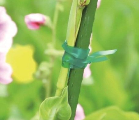 Bahçem Bahçe Pvc Bant,bitki Bağlama 40 M 1.2cm X 40mt