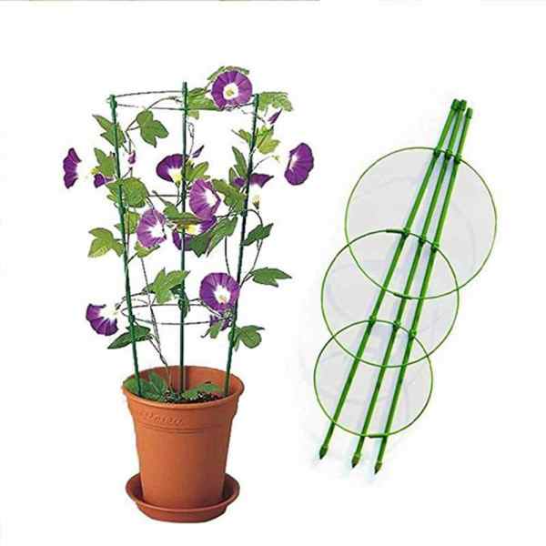 Bahçem Halkalı Bitki Destek Kafesi 75cm