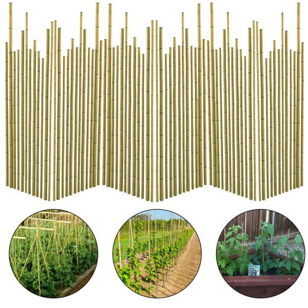 Bahçem 50'Lİ Bambu Bitki Destek Çubuğu 20mm 240 cm