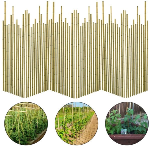 Bahçem 50'Lİ Bambu Bitki Destek Çubuğu 16 mm 180 cm
