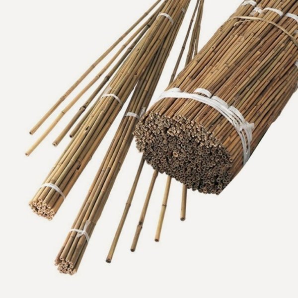 Bahçem 50'Lİ Bambu Bitki Destek Çubuğu 8 mm 75 cm