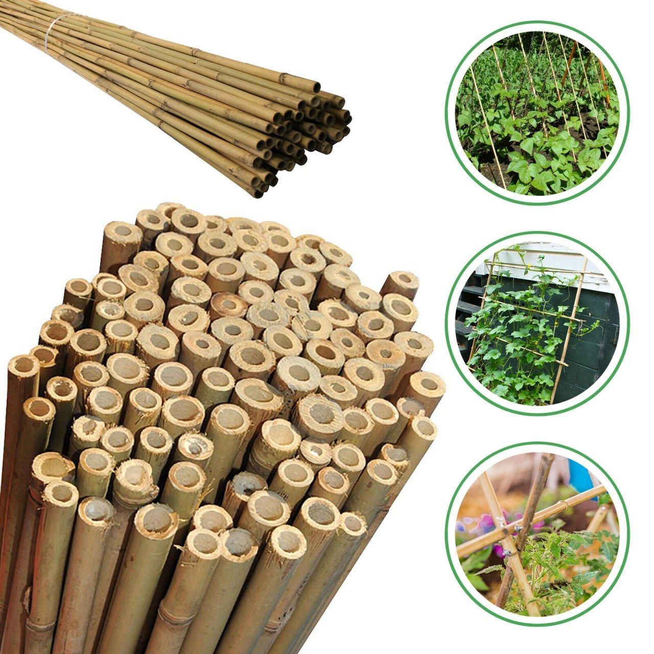 Bahçem 50'Lİ Bambu Bitki Destek Çubuğu 8 mm 75 cm