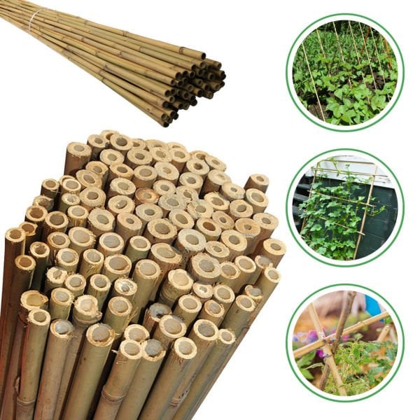 Bahçem 50'Lİ Bambu Bitki Destek Çubuğu 8 mm 75 cm