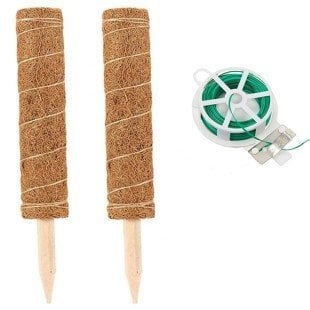 Bahçem Koko Sarmaşık Destek Çubuğu 2 Adet 40cm + 30mt Bağlama İpi