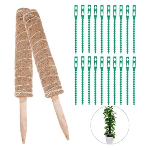 Bahçem Koko Sarmaşık Destek Çubuğu 2 Adet 40cm + 50'Li Bağlama Klipsi