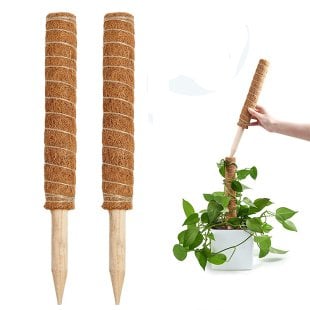 Bahçem Koko Sarmaşık Destek Çubuğu 2 Adet 40cm