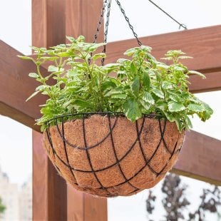 Coco Askılı Çiçeklik Doğal Hindistan Cevizi Lifi Dekoratif 1 Adet Balkon Bahçe Saksısı 32X31X50CM