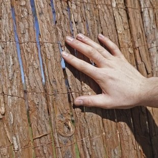 Ağaç Kabuğu Çevirme Çiti 50cm 3mt