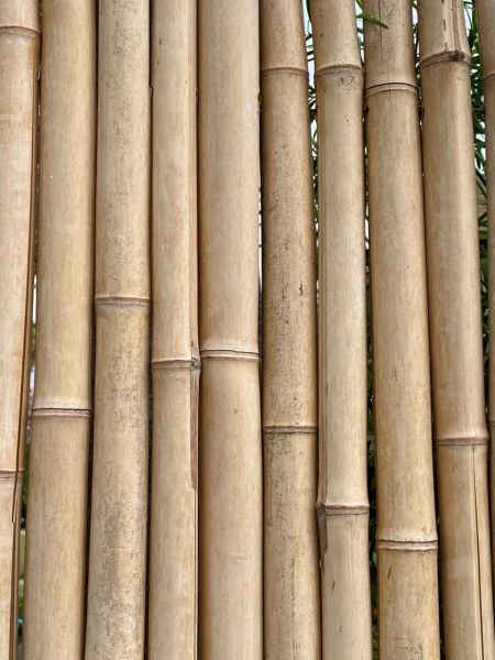Bahçem Kalın Bambu Çubuğu 7-8 Cm 1 Metre 10 Adet