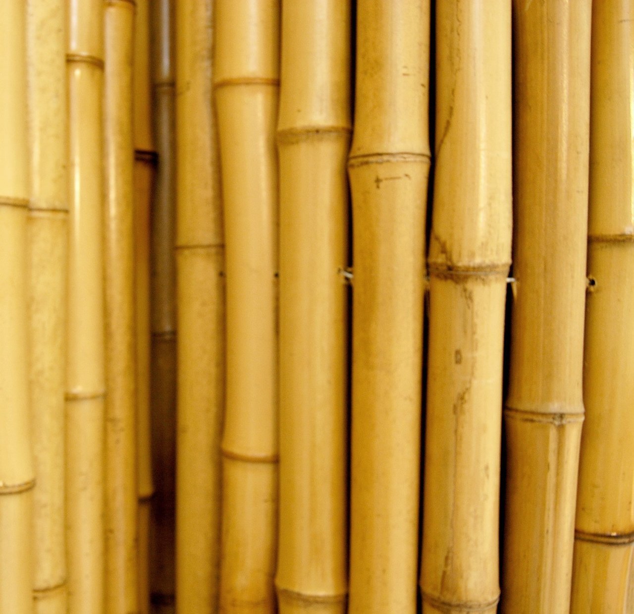 Bahçem Kalın Bambu Çubuğu 7-8 Cm 3 Metre 3 Adet