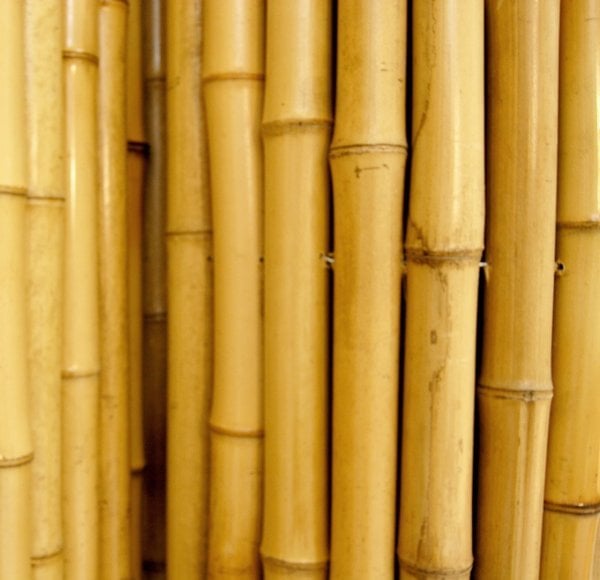 Bahçem Kalın Bambu Çubuğu 7-8 Cm 3 Metre 5 Adet